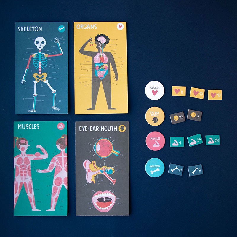 Educational game of the human body